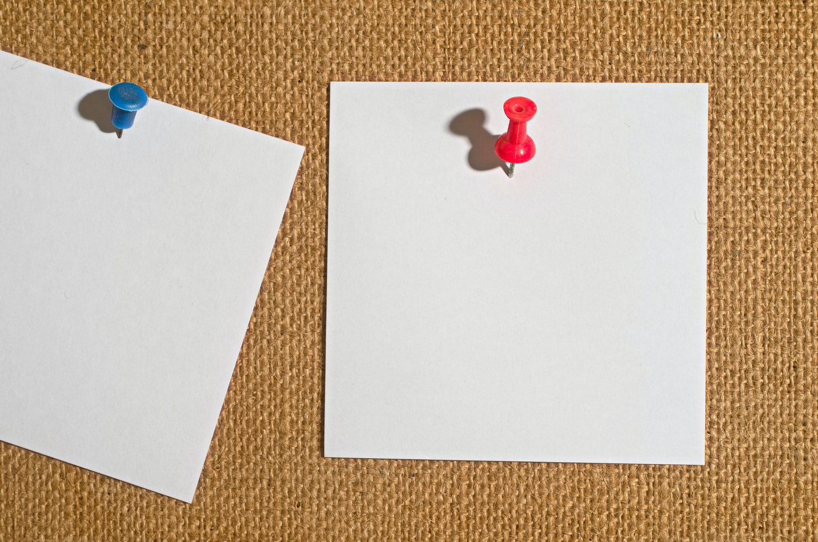 Photo of pieces of white paper pinned to a noticeboard